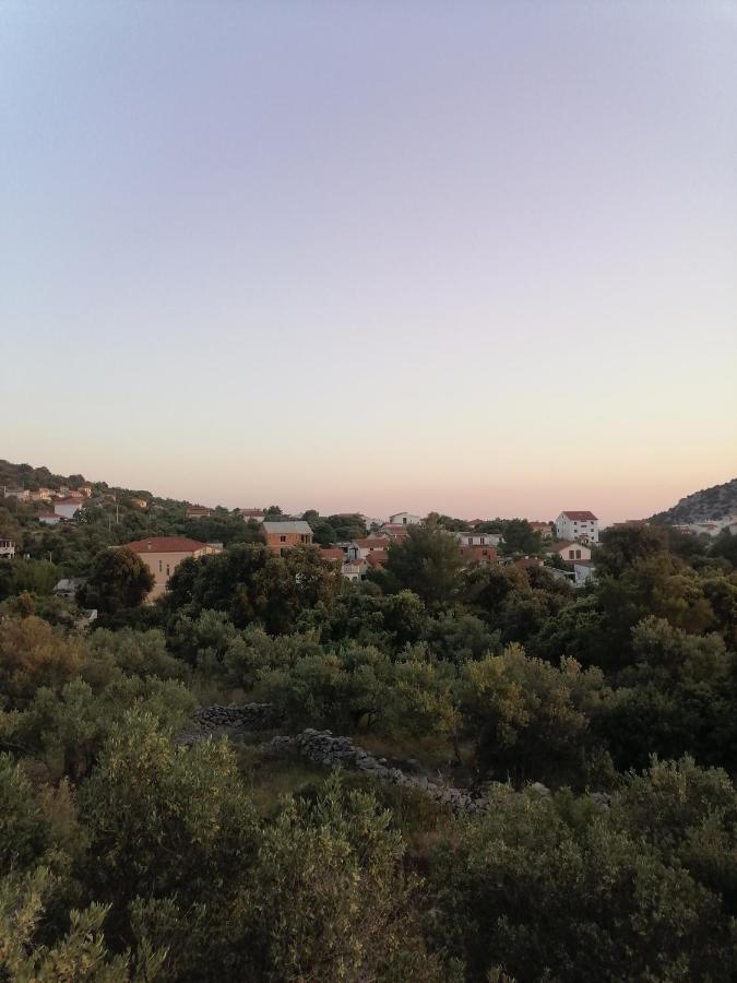 Apartment Vedrana